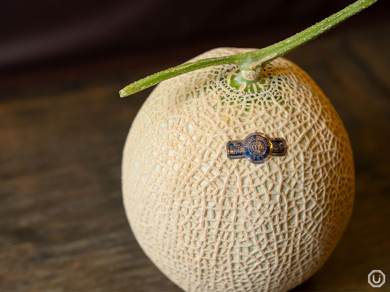 Melons at Cafe Bridge in Ginza