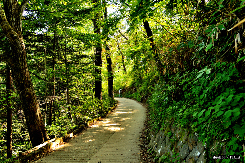 Mount Takao