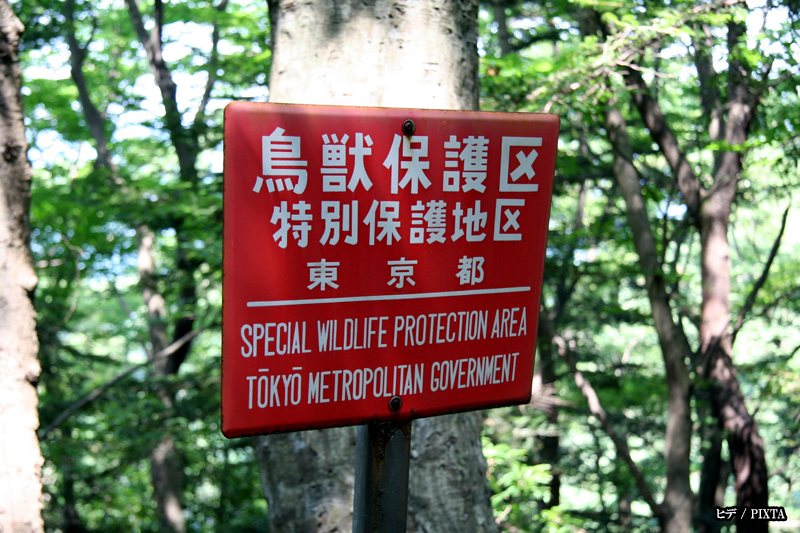 Mount Takao