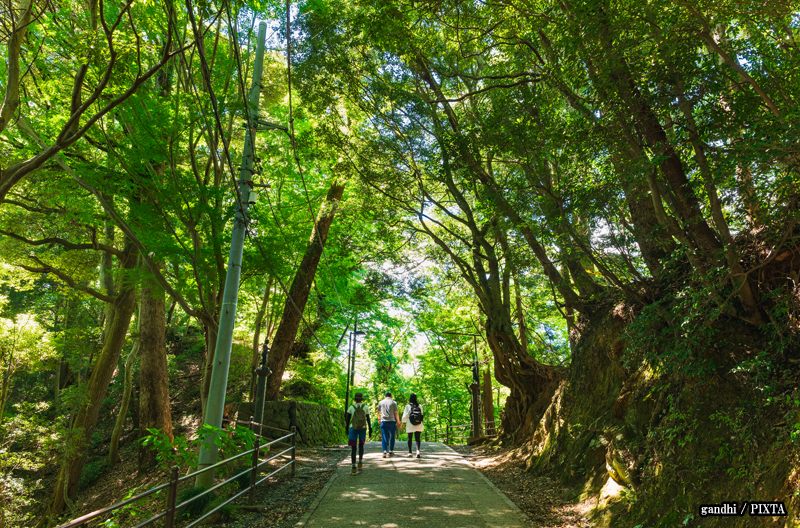Mount Takao