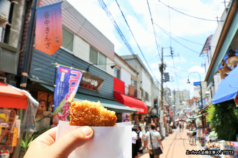 fried food in Yanaka Ginza