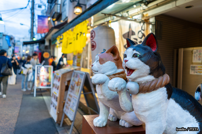 cat sculptures in Yanaka Ginza