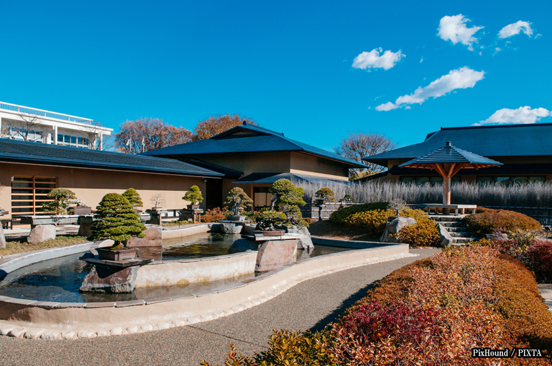 Omiya Bonsai Art Museum
