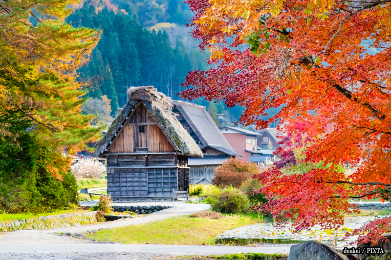 Shirakawago