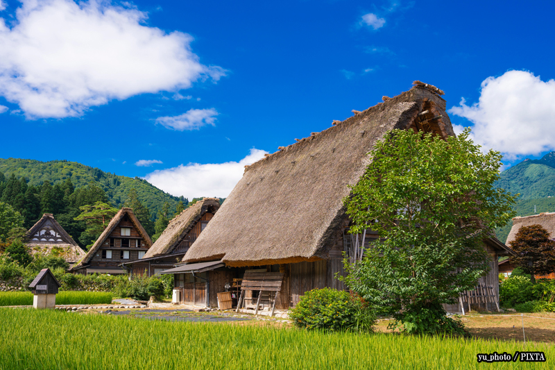 Shirakawago
