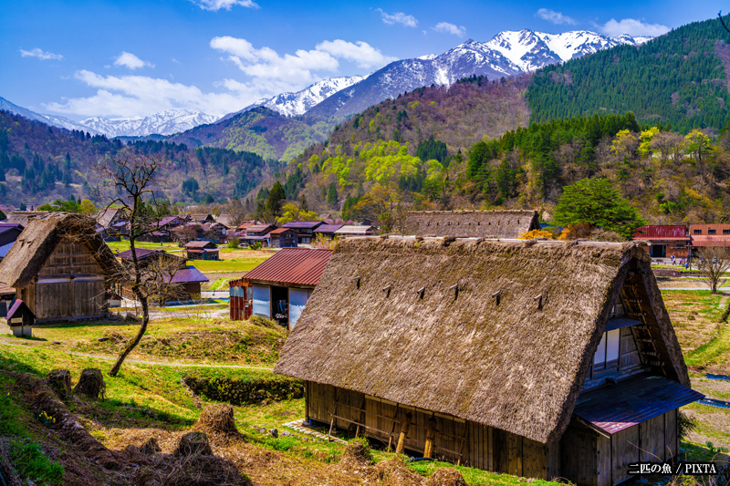 Shirakawago