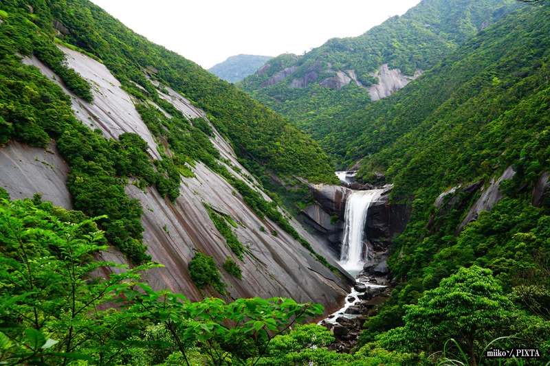Yakushima Island