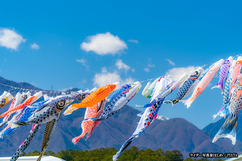 koinobori carp streamers