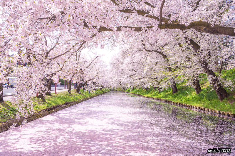 Hirosaki Park