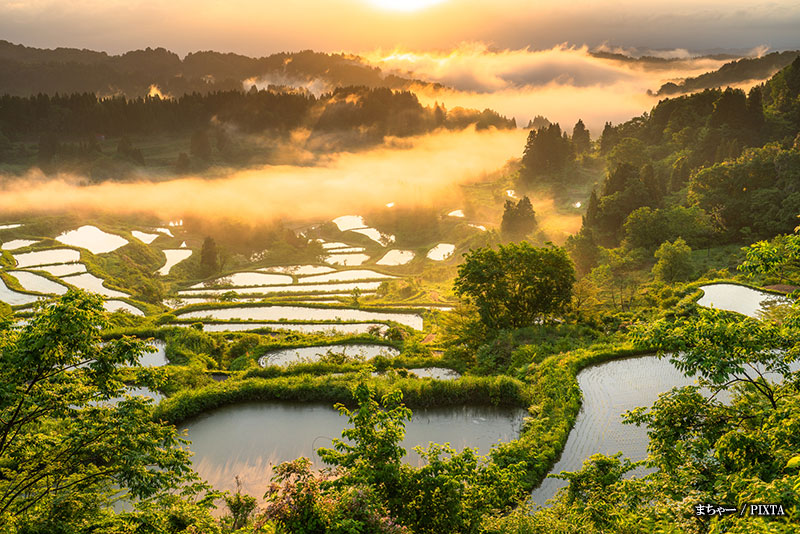 Hoshitouge terraced rice field in Niigata