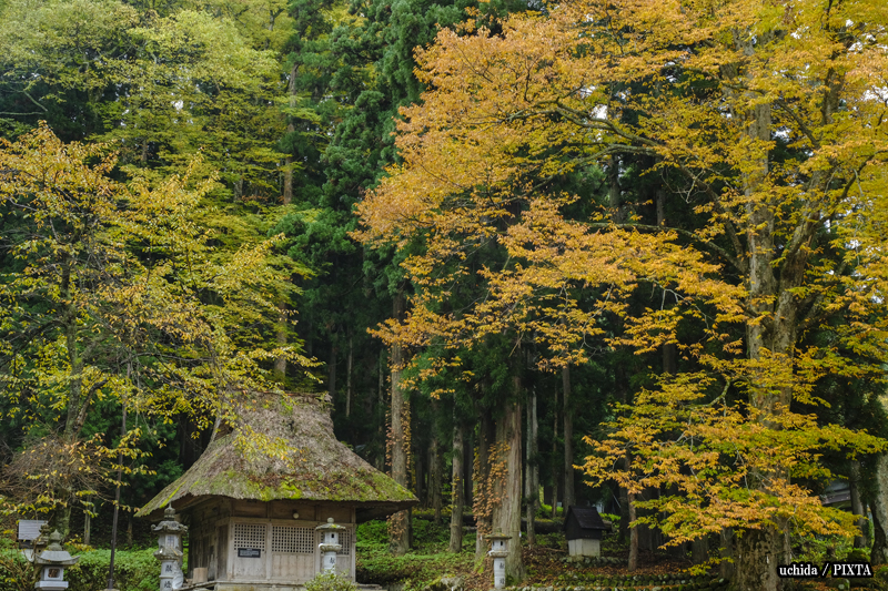 Shirakawago