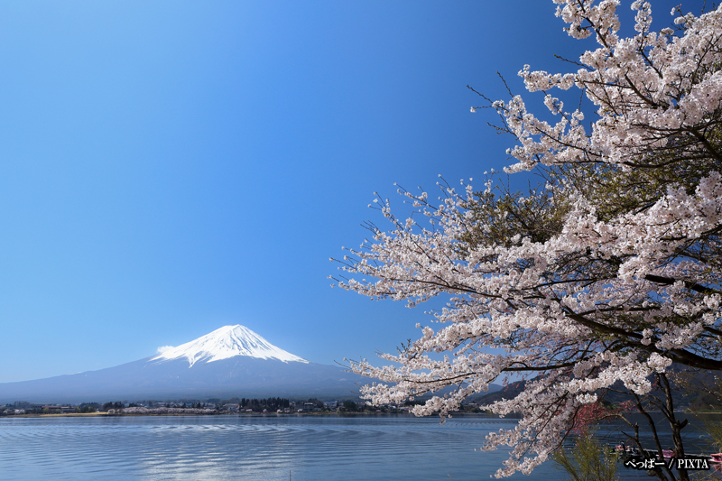 Lake Kawaguchiko in spring