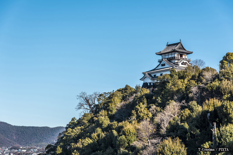 Inuyama Castle