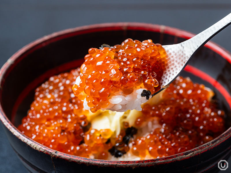 Salmon roe rice bowl at Sashimi Bar Kashigashira in Tsukiji