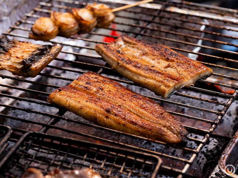 shinko unagi at Tsukiji Unagi Shokudou