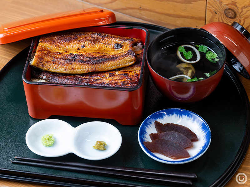 shinko unagi at Tsukiji Unagi Shokudou