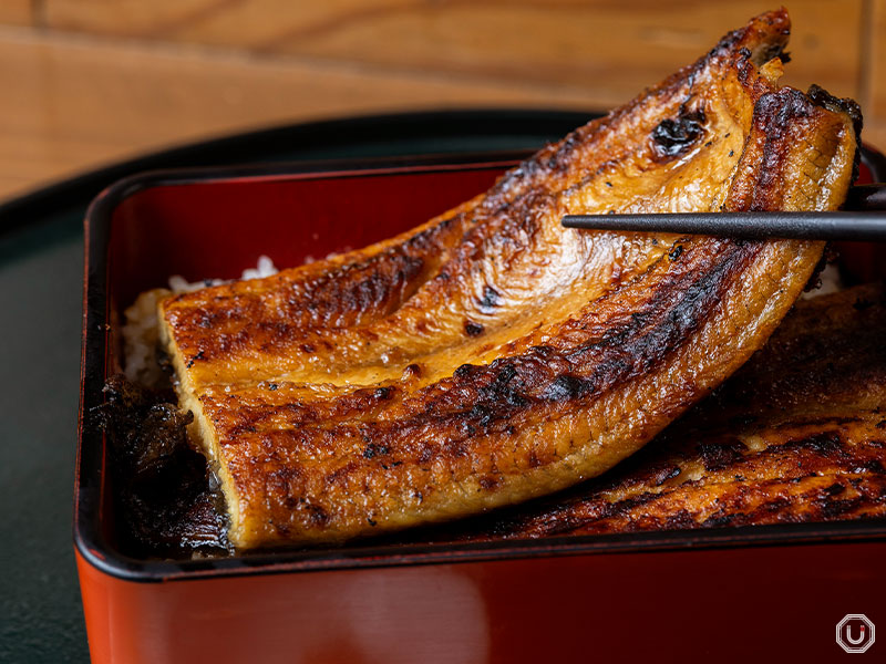 shinko unagi at Tsukiji Unagi Shokudou