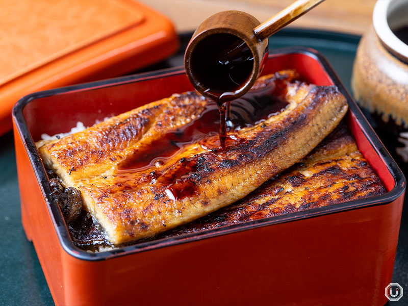 shinko unagi at Tsukiji Unagi Shokudou