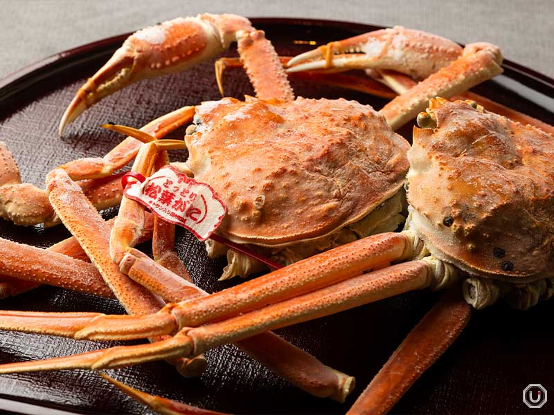 red snow crab at Bistro Cafe Momotenashiya in Shimbashi
