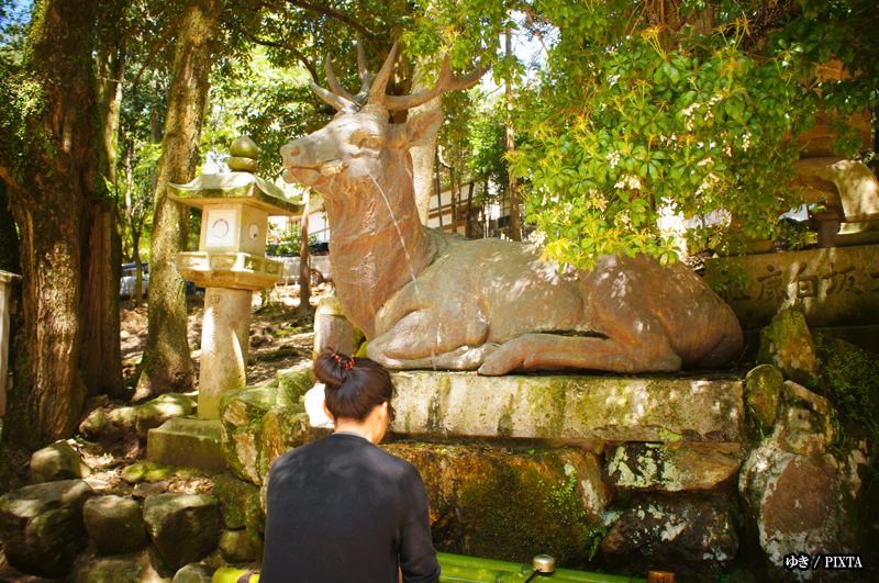 deer-shaped purification basin at Kasuga Taisha in Nara