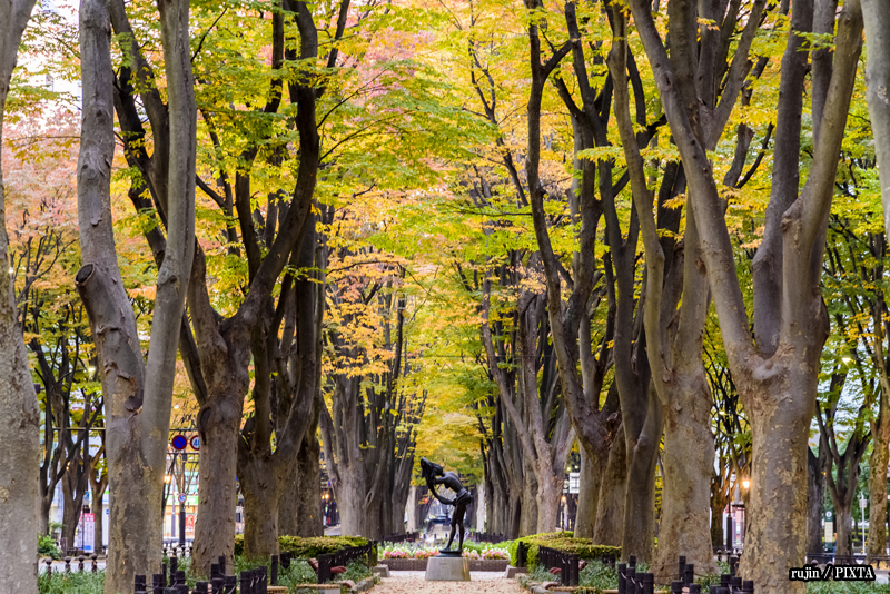 Jozenji-dori Avenue in Sendai