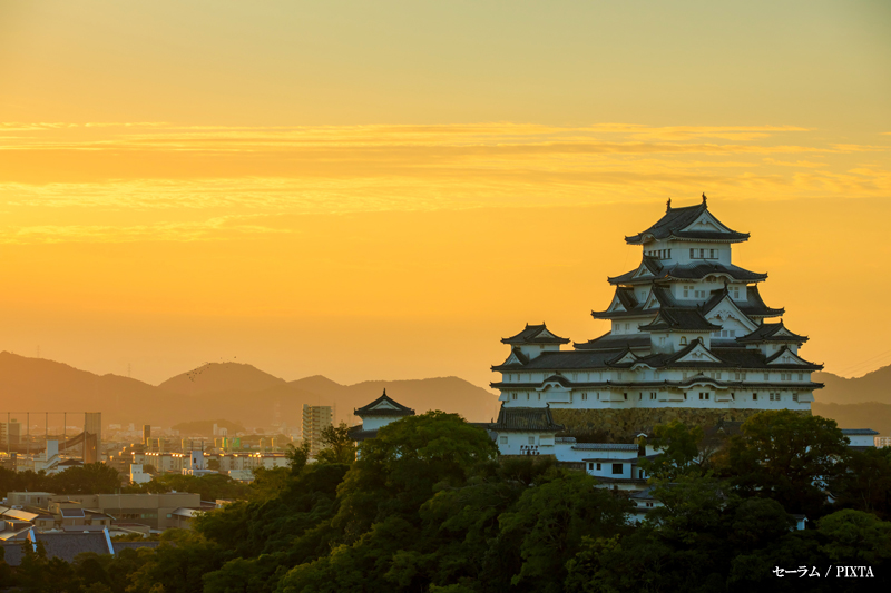Himeji Castle at dusk