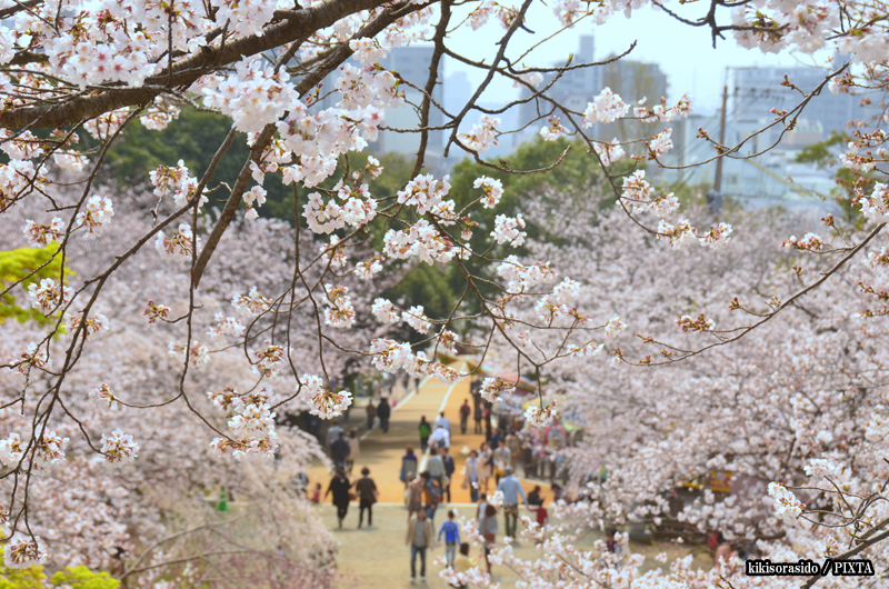 hanami