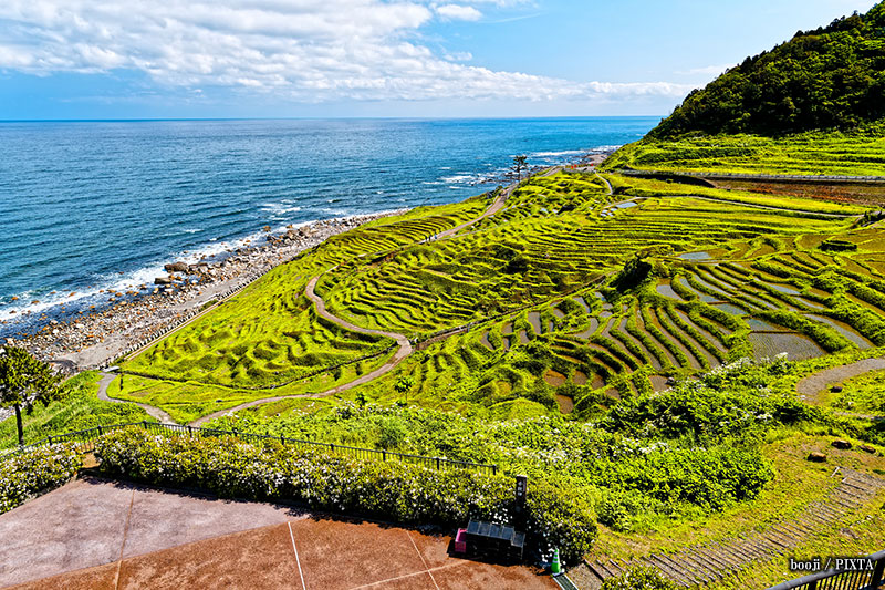 Senmaida rice fields under reconstruction