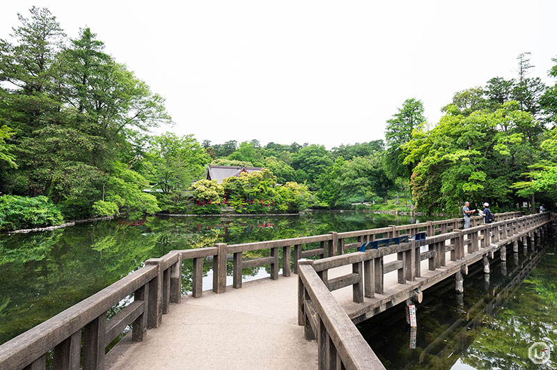 Inokashira Park in Kichijoji