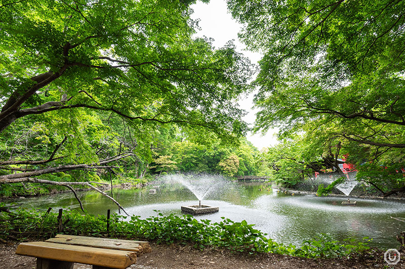 Inokashira Park in Kichijoji