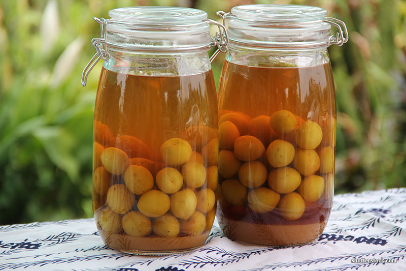 Umeshu