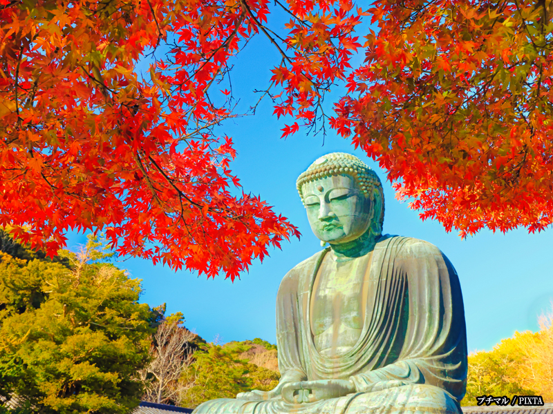 The Great Buddha in Kamakura in fall