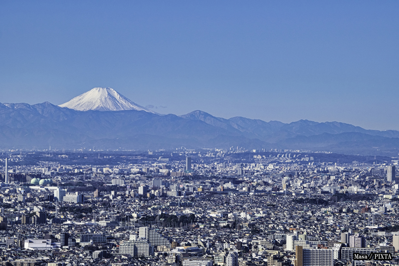 view from the observation deck of the Tokyo Metropolitan Government Building