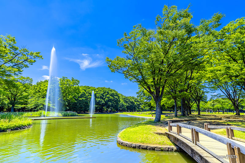 代々木公園の写真