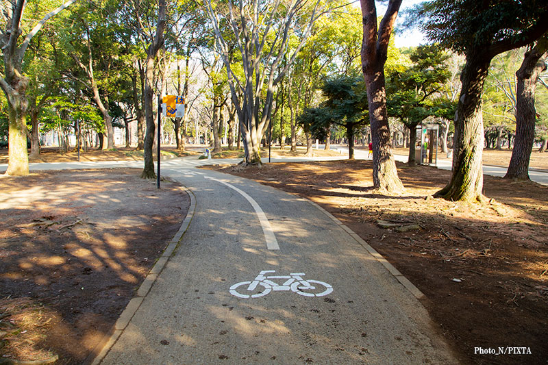 代々木公園のサイクリングコース