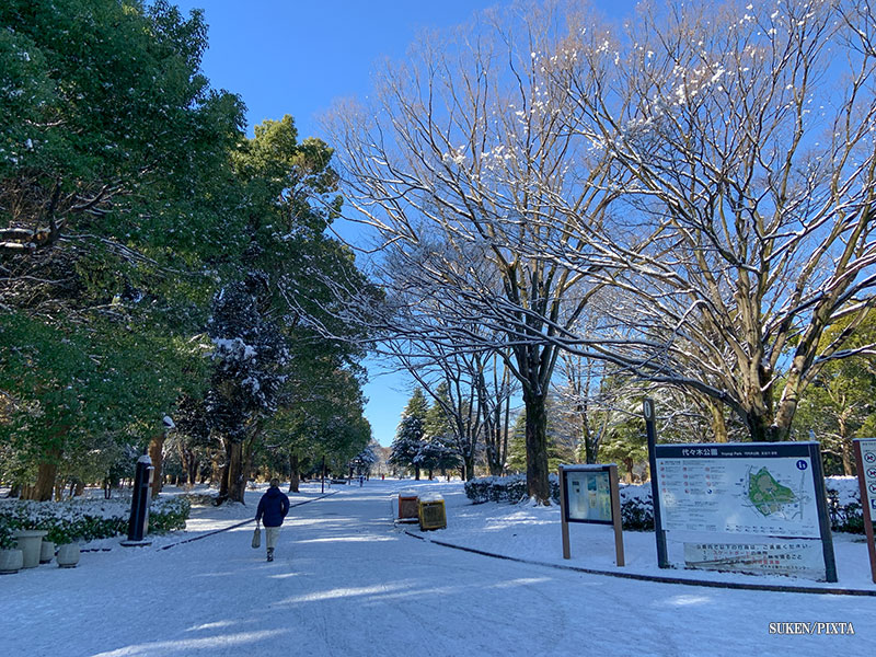 冬の代々木公園
