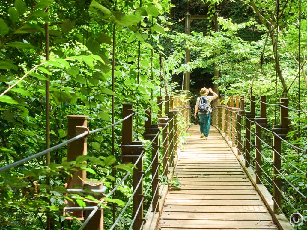 高尾山
