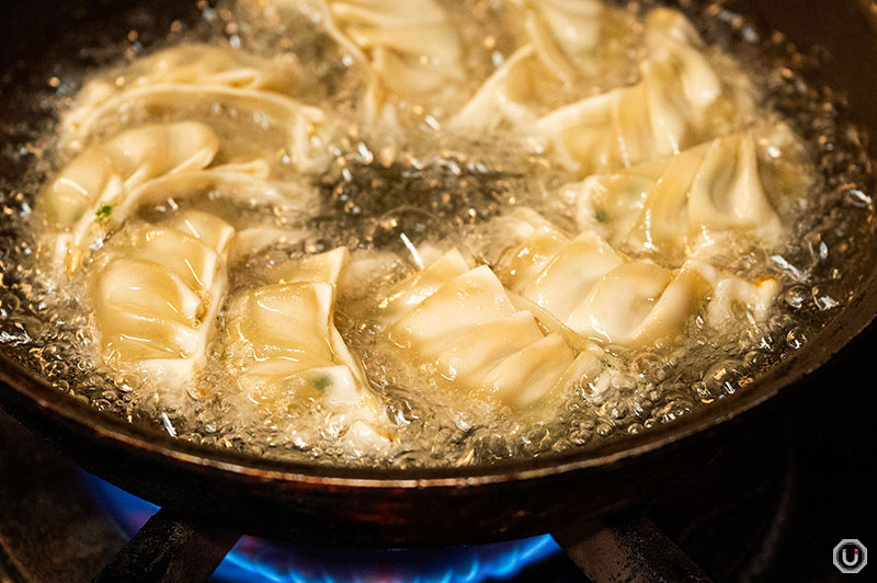 Hakata iron-plate gyoza at Kyushu Netchuya Ueno LIVE
