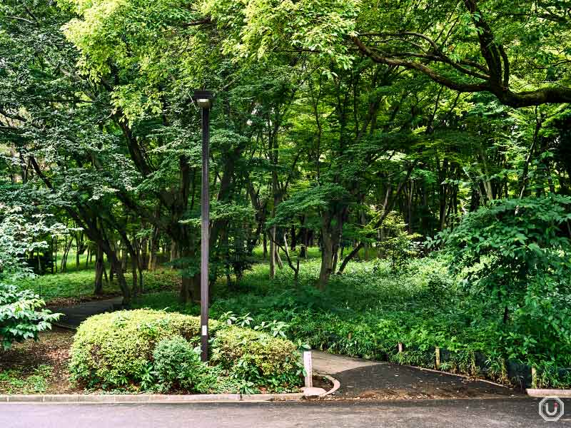 Entrance to the grove near the west gate