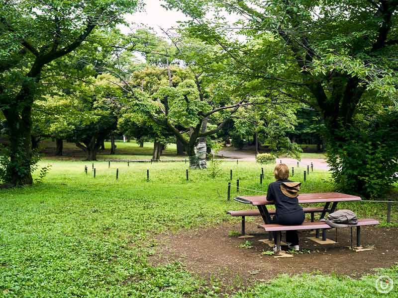 Tables in Yoyogi Park