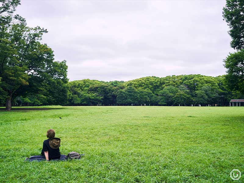Central Plaza, ideal for picnics