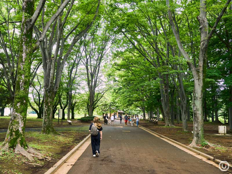 Yoyogi Park scenery
