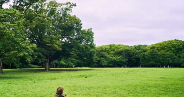 代々木公園