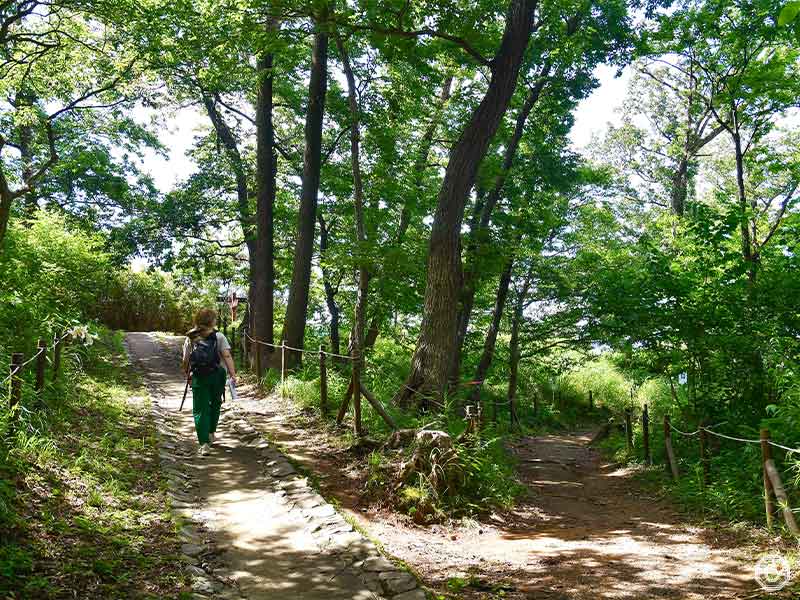 長沼公園