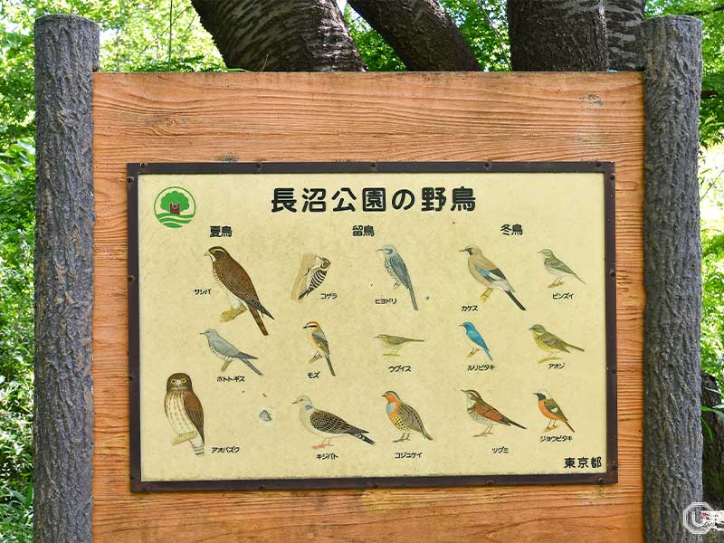 長沼公園