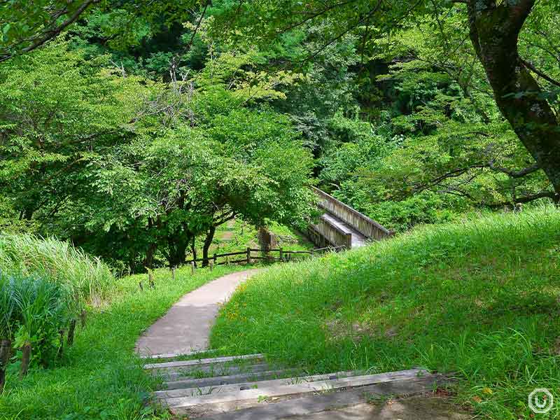殿ヶ谷の道