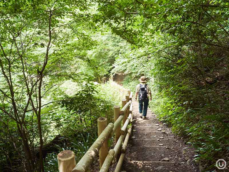Mt. Takao trail