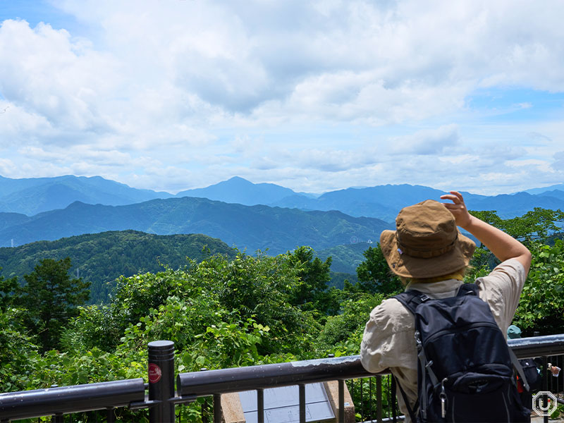 View from Mt. Takao Summit