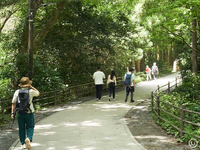 Mt. Takao