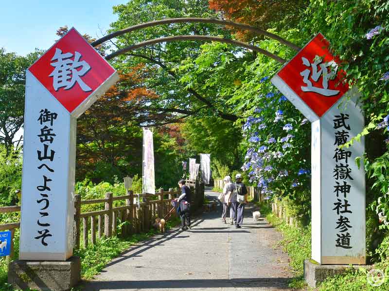 Mt. Mitake hiking trail